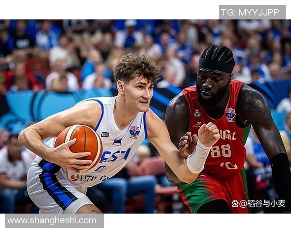 今年的球队公牛身价明星公牛!均走入期前,强势崛起!