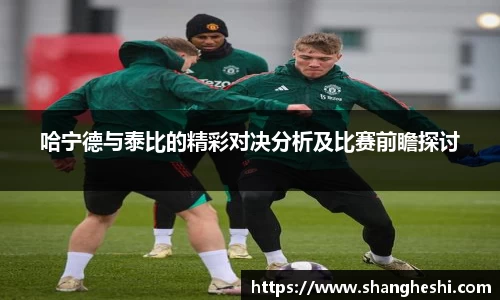 哈宁德与泰比的精彩对决分析及比赛前瞻探讨