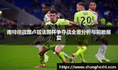 南特迎战图卢兹法国杯争夺战全景分析与前瞻展望