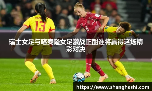 MK体育最新地址